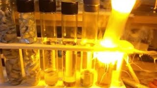 Sodium Metal In Concentrated Sulfuric Acid [upl. by Anirod]