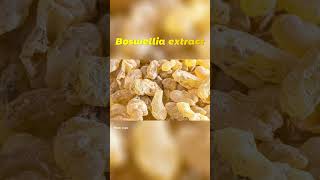 Boswellia Extract A Herbal Remedy For Joint Inflammation  Boswellic acid factory [upl. by Didier683]