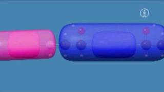 FWU  Kunststoffe  Monomer und Polymer Begleitmaterial Kunststoffe  Monomer und Polymer [upl. by Cynara]