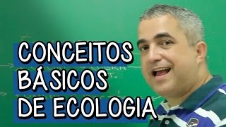 Níveis de Organizações Ecológicas  Extensivo Biologia  Descomplica [upl. by Loggia]