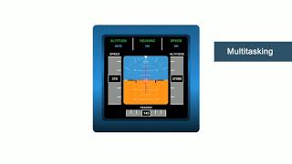 COMPASS TEST FOR PILOTS [upl. by Nomrac]