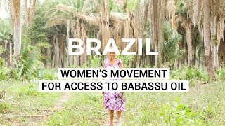 Brazil’s Warrior Women  A Women’s Grassroots Movement for Access to Babassu Oil  Brazil [upl. by Danna]