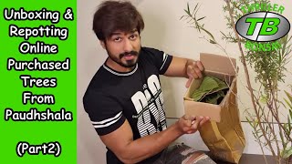 Unboxing amp Repotting online purchased trees from Paudhshalacom  Part 2 [upl. by Collin]