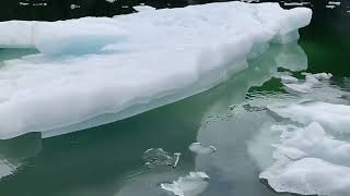 LeConte Glacier Tour  Petersburg Alaska [upl. by Delija920]