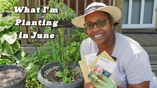 What Im Planting in June [upl. by Llerrah]