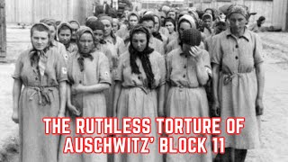 The RUTHLESS Torture Of Auschwitz Block 11 [upl. by Bullen294]