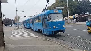 Trams Zagreb 341  ZET trams Dubrava  Zagreb [upl. by Allehcim]