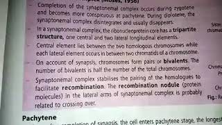 Synaptonemal complex Helpful for NEET BSc and other students [upl. by Kira244]