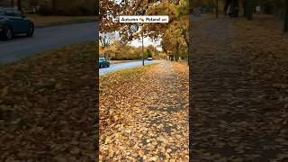 Autumn 🍂 in Poznan Poland 2024 arfaamajd autumn europe youtubeshorts viralvideo [upl. by Itnava]