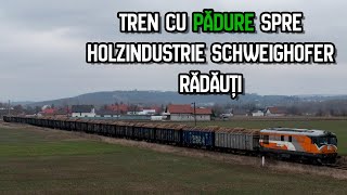 Tren cu pădure spre Holzindustrie Schweighofer Rădăuți [upl. by Nakada845]