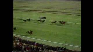 1975 Ayr Gold Cup [upl. by Llerrem]