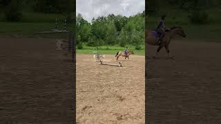 I just felt some equestrians needed this horse equestrian rider fypシ゚viral [upl. by Fonville]