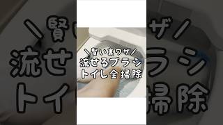 【裏技伝授】流せるトイレブラシで便器内からトイレ本体まで丸ごと掃除する方法！ [upl. by Blasien]