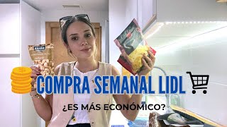 COMPRA SEMANAL LIDL🛒con PRECIOS 💶 ¿ES MÁS ECONÓMICO [upl. by Rehotsirk]