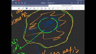 Biology chapter 7 part 2 The Nucleus [upl. by Alvera22]