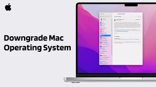 How to Downgrade MacOS Version  2024 Full Guide [upl. by Nollid531]