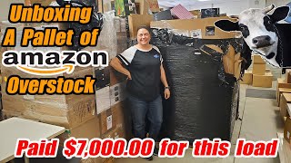 Unboxing A Pallet of Amazon Overstock that we paid Thousands of dollars for and we found cows [upl. by Ahsinar691]