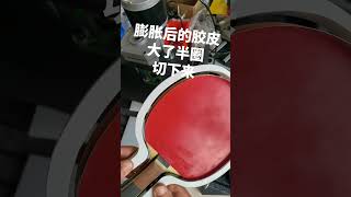 Ping Pong Rubber Edge Cutting Machine [upl. by Irok]