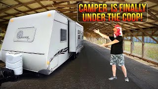 Camper is Finally at Home in the Coop [upl. by Neelik]