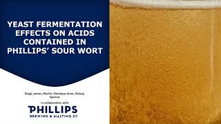 Phillips Brewing Societal Engagement CHEM 405 [upl. by Ynobe]