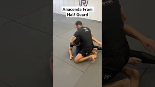 Anaconda Choke from half guard jiujitsublackbelt jiujitsu martialarts nogi [upl. by Enywtna954]