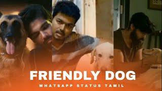 💓😍ungaluku⚡🐶 dog🦮🔥 na romba pudikuma whatsapp status tamil  dog😘🐕 lovers whatsapp status in tamil [upl. by Arianne840]