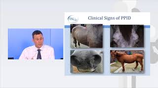 How to spot Equine Cushings disease [upl. by Nanahs]