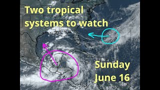 Sunday Two Tropical Systems could Develop and Impact the US and other areas this Week [upl. by Hanan676]