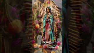 Fiestas Religiosas de México FiestasReligiosas [upl. by Onitnelav]