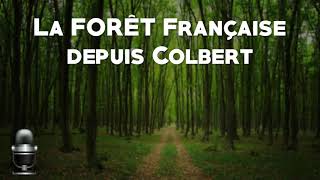 HGGSP Terminale La forêt française depuis Colbert [upl. by Adlih]