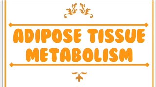 Lecture 2  Adipose tissue metabolism  Dr Abdelrahman Elhoseny [upl. by Melmon]