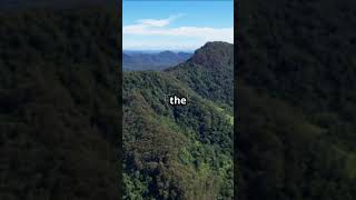 Discover Kuranda Scenic Railway quotPlease Subscribequot [upl. by Andri]