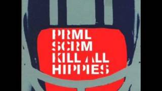 Primal Scream  Kill All Hippies Two Lone Swordsmen Remix 2 [upl. by Settle]