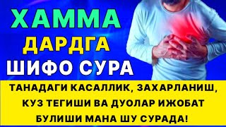 Хамма дардга шифо сура Танадаги касалликлар ва куз тегиши  дуолар [upl. by Annovoj58]