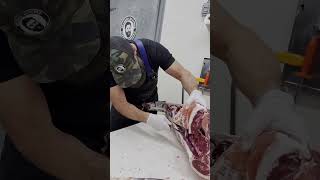 Removing the Deer Backstrap 🔪🦌 shorts deer venison backstrap butcher [upl. by Nnylyar]