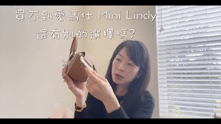 買不到愛馬仕mini lindy 有別的選擇嗎 Delvaux cool box nano 可愛的讓人尖叫 [upl. by Vanderhoek515]