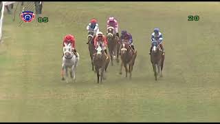 Mauritius Horse Racing 8th Meeting 2020 [upl. by Yelnek]