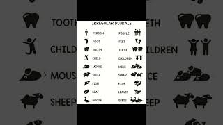 Irregular Plurals shorts english learnenglish grammar [upl. by Kcirddec]