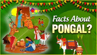 Interesting Facts amp Importance About Pongal  The Indian Harvest Festival  Pongal Festival 2022 [upl. by Corabella]