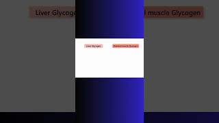 LIVER GLYCOGEN vs MUSCLE GLYCOGEN liver glucose blood glycogen physiology muscle cell [upl. by Arehsat261]