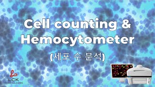 LCK Cell counting amp Hemocytometer 세포 수 분석 [upl. by Thais]