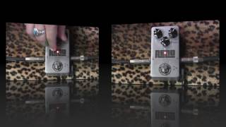 Ohmfects RENO analog delay pedal demo with MJT Strat amp Carls Custom Deluxe [upl. by Naziaf]