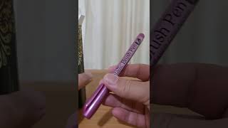 Brush Metallic Marker Pens Set Permanent Art Markers Artist Unboxing [upl. by Walt]