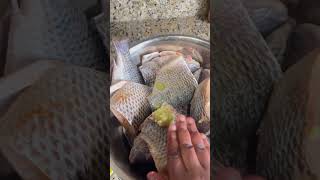 kenkey ghanaiandishes viralvideo [upl. by Rosel]