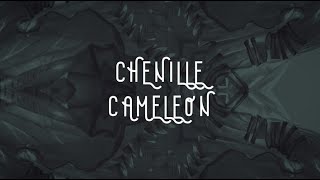 ShellaAnn  Chenille Camélon Official video FJORD INTÉRIEUR [upl. by Smaj]