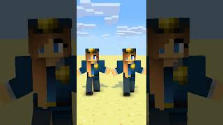 Hide amp Seek Twin Hunters VS Herobrine  minecraftshorts minecraftanimation [upl. by Parnas868]