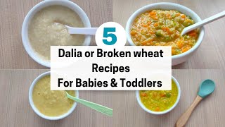 5 Broken Wheat Recipes For Babies and Toddlers  Dalia Recipes For Babies  White Pot [upl. by Aaren650]