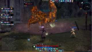 TERA BAM hunting Lurking Storm Lizard [upl. by Pomfrey233]