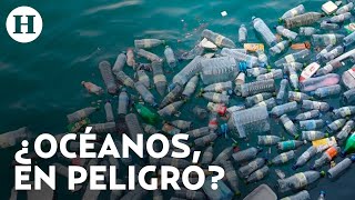 ¡Plástico invade el océano Niebla tóxica contaminante en el mar preocupa a investigadores [upl. by Amat144]