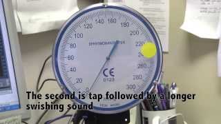 Systolic vs Diastolic Blood Pressure  Cardiology🫀 [upl. by Pentheam]